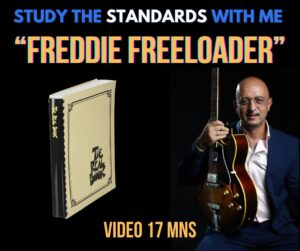 Freddi Freeloader